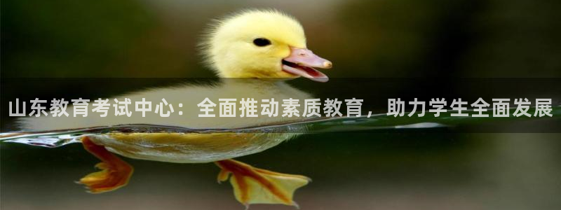 娱乐界的新航母：山东教育考试中心：全面推动素质教育，助力学生