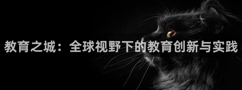 新航新客舱机上娱乐银：教育之城：全球视野下的教育创新与实践