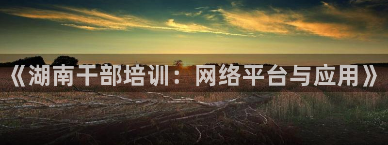 新航娱乐公司地址查询：《湖南干部培训：网络平台与应用》