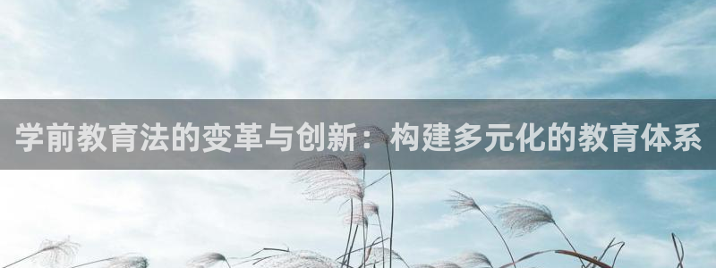 新航娱乐旗下平台有哪些：学前教育法的变革与创新：构建多元化的