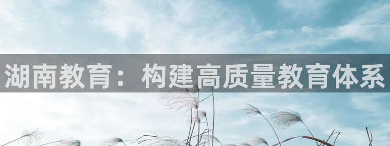 新航娱乐登录：湖南教育：构建高质量教育体系