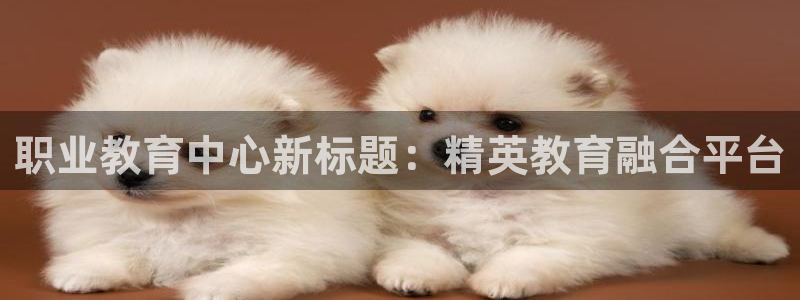 新航娱乐近期演出活动：职业教育中心新标题：精英教育融合平台