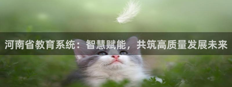 开启娱乐新航线：河南省教育系统：智慧赋能，共筑高质量发展未来