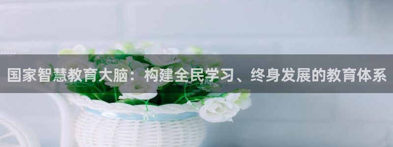 新航娱乐的最新动态报道：国家智慧教育大脑：构建全民学习、终身