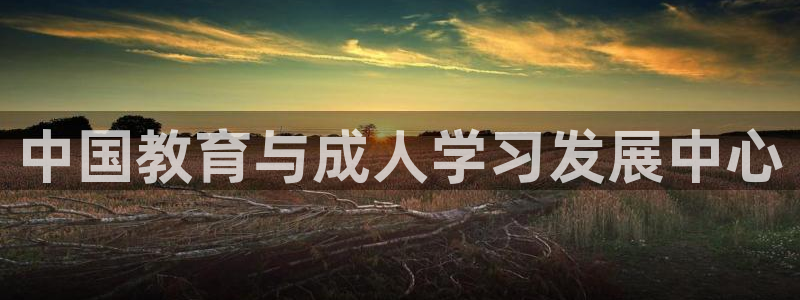 新航娱乐官方首页：中国教育与成人学习发展中心