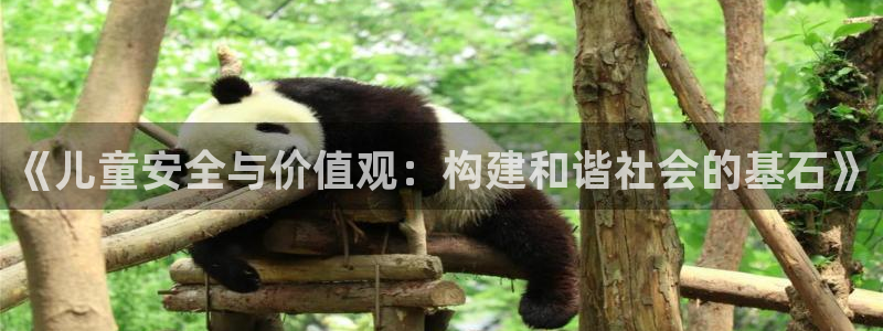 新航娱乐怎么开户：《儿童安全与价值观：构建和谐社会的基石》