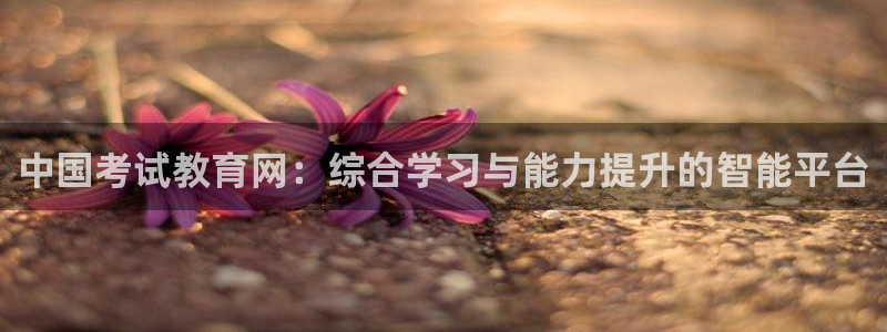 新航娱乐公司艺人招聘：中国考试教育网：综合学习与能力提升的智