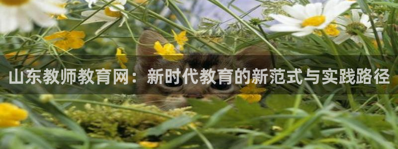 新航线娱乐会所