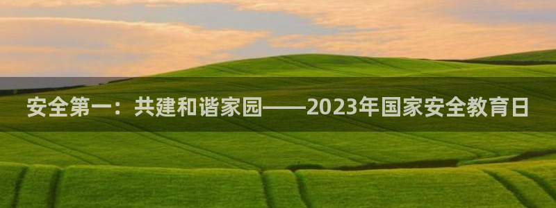 新航娱乐公司简介：安全第一：共建和谐家园——2023年国家安