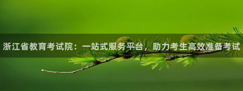 开启娱乐新航线下载：浙江省教育考试院：一站式服务平台，助力考
