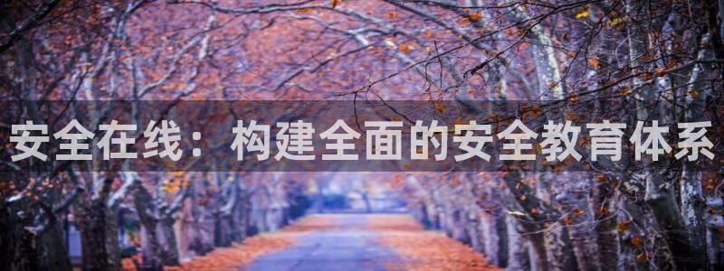 新航娱乐公司：安全在线：构建全面的安全教育体系