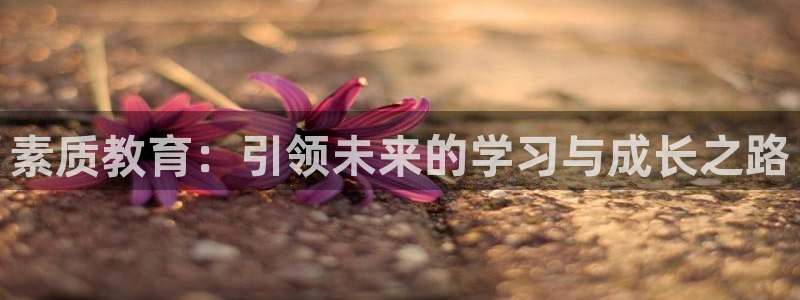 新航娱乐怎么样知乎：素质教育：引领未来的学习与成长之路