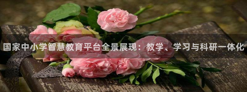 新航娱乐代理：国家中小学智慧教育平台全景展现：教学、学习与科