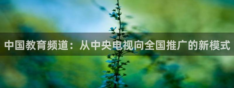 新航娱乐的创始人背景：中国教育频道：从中央电视向全国推广的新