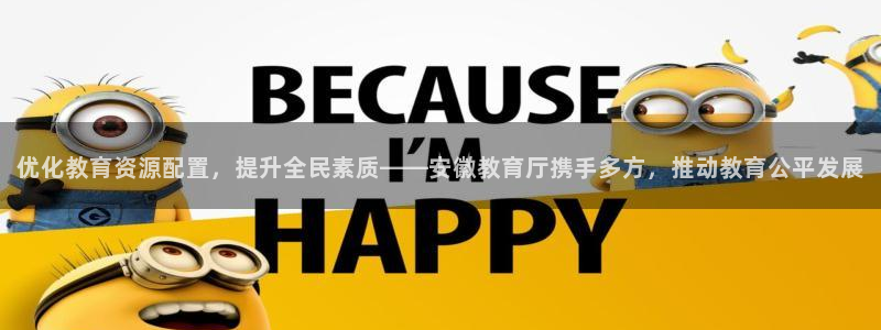 新航娱乐被国家认可吗：优化教育资源配置，提升全民素质——安徽