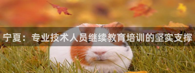 新航娱乐艺人：宁夏：专业技术人员继续教育培训的坚实支撑