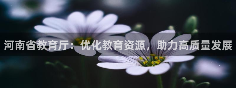 新航娱乐平台登录蒋渭水：河南省教育厅：优化教育资源，助力高质