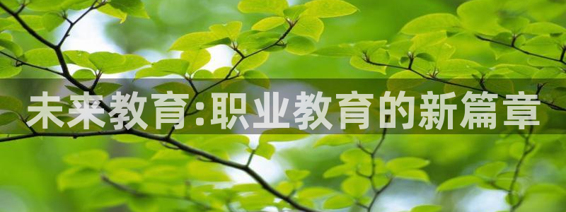 新航娱乐最新娱乐项目介绍：未来教育:职业教育的新篇章