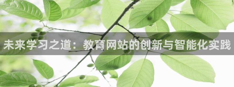 新航文化娱乐传媒：未来学习之道：教育网站的创新与智能化实践