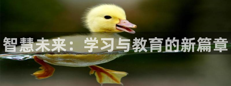 新航娱乐登录：智慧未来：学习与教育的新篇章