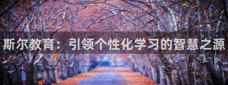 新航娱乐的最新动态报道：斯尔教育：引领个性化学习的智慧之源