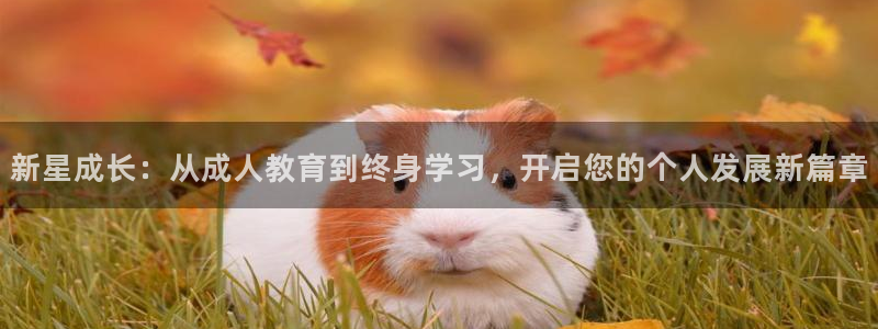 南京新航娱乐：新星成长：从成人教育到终身学习，开启您的个人发