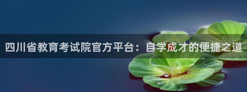 新航娱乐娱乐官方网站：四川省教育考试院官方平台：自学成才的便