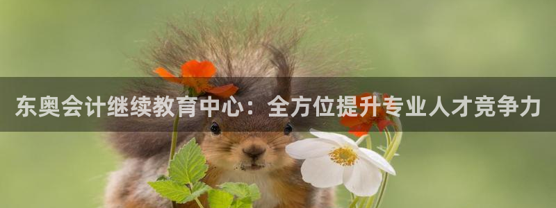 新航娱乐公司怎么样：东奥会计继续教育中心：全方位提升专业人才