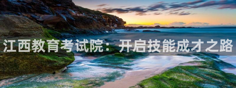 萧山娱乐新航母阿里巴巴：江西教育考试院：开启技能成才之路