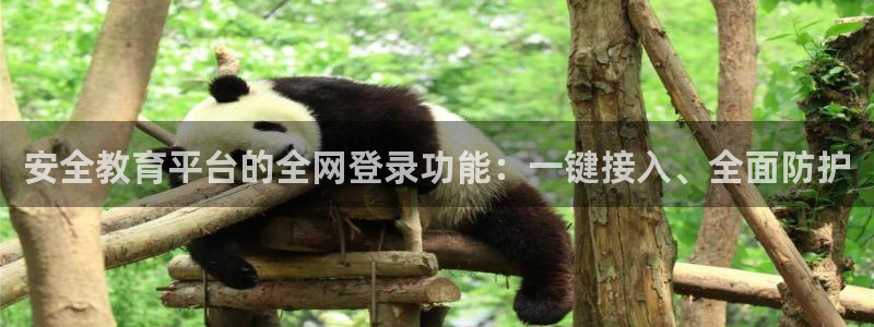 新航海大酒店娱乐城：安全教育平台的全网登录功能：一键接入、全
