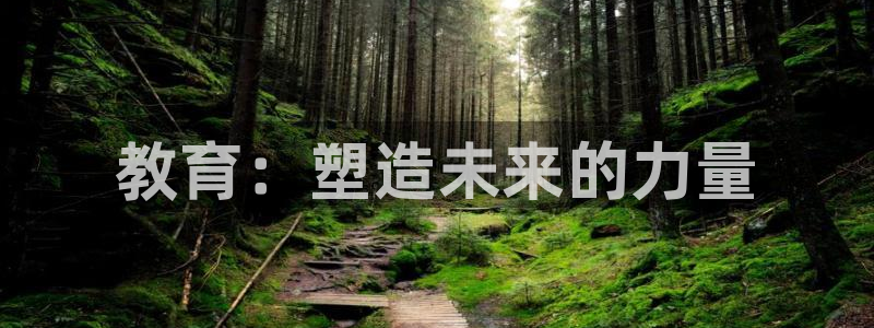 新航文化娱乐传媒：教育：塑造未来的力量