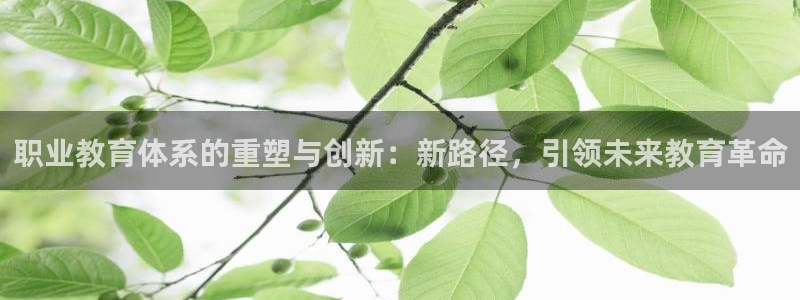 新航娱乐公司：职业教育体系的重塑与创新：新路径，引领未来教育