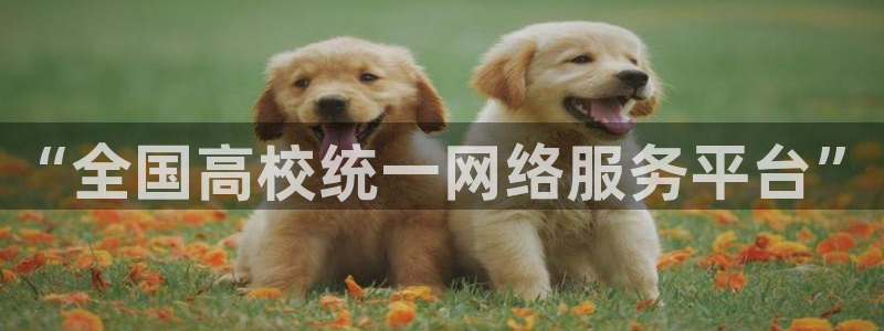 新航娱乐公司招聘电话：“全国高校统一网络服务平台”