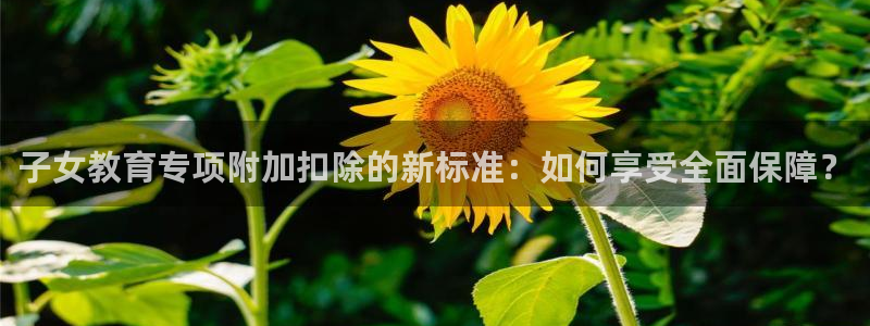 新航 娱乐系统：子女教育专项附加扣除的新标准：如何享受全面保