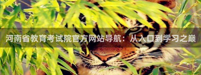 新航娱乐的创始人背景：河南省教育考试院官方网站导航：从入口到