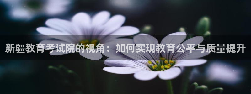 新航娱乐下载安装：新疆教育考试院的视角：如何实现教育公平与质