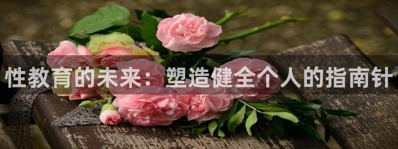 新航娱乐官方：性教育的未来：塑造健全个人的指南针