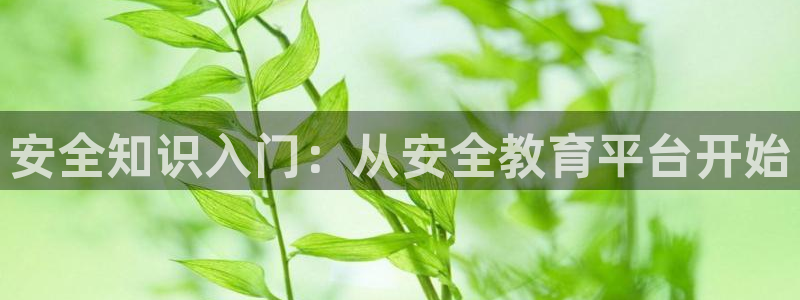 新航娱乐登录入口：安全知识入门：从安全教育平台开始
