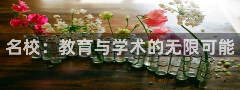 新航娱乐集团最新消息：名校：教育与学术的无限可能