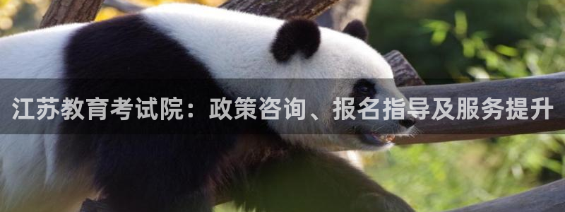 新航娱乐公司简介资料：江苏教育考试院：政策咨询、报名指导及服