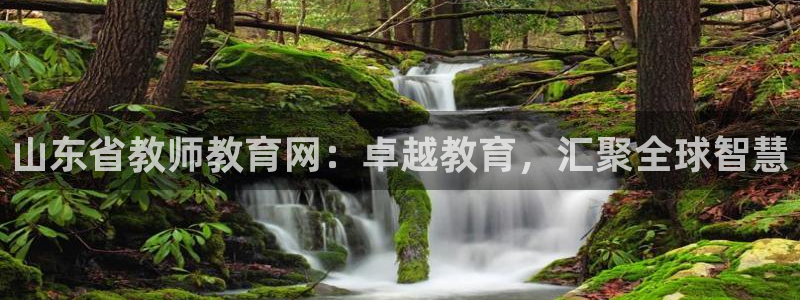 新航娱乐客服电话：山东省教师教育网：卓越教育，汇聚全球智慧