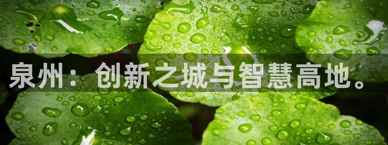 新航娱乐平台官网：泉州：创新之城与智慧高地。