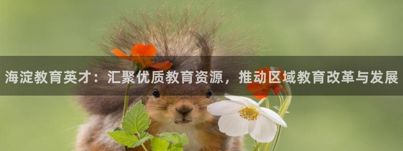 新航娱乐登录：海淀教育英才：汇聚优质教育资源，推动区域教育改