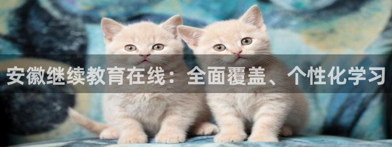 新航娱乐入新航娱乐怎么样：安徽继续教育在线：全面覆盖、个性化