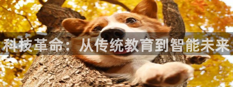 新航娱乐旗下艺人列表：科技革命：从传统教育到智能未来