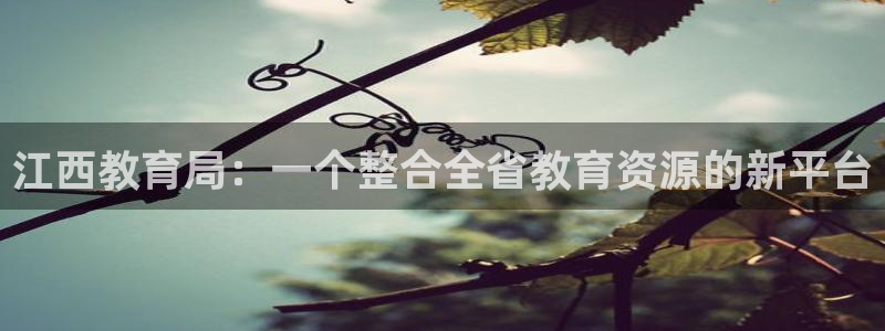 新航娱乐街7O935：江西教育局：一个整合全省教育资源的新平