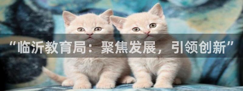 新航娱乐平台app下载