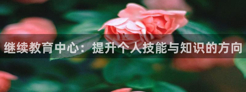 新航娱乐q被骗：继续教育中心：提升个人技能与知识的方向