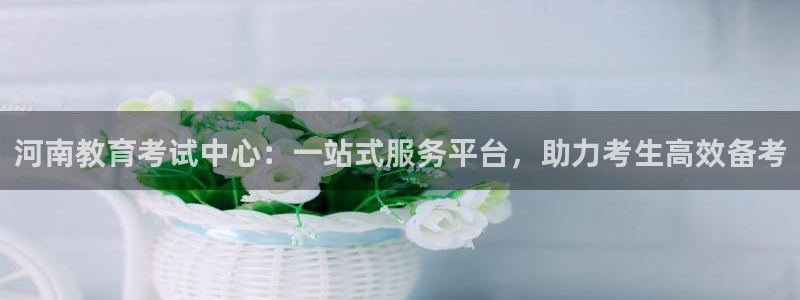 新航娱乐有限公司招聘：河南教育考试中心：一站式服务平台，助力