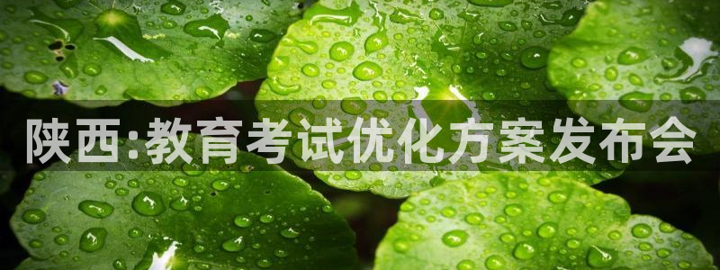 新航佳苑娱乐：陕西:教育考试优化方案发布会